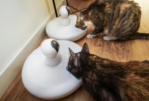 dispositivo de monitoramento