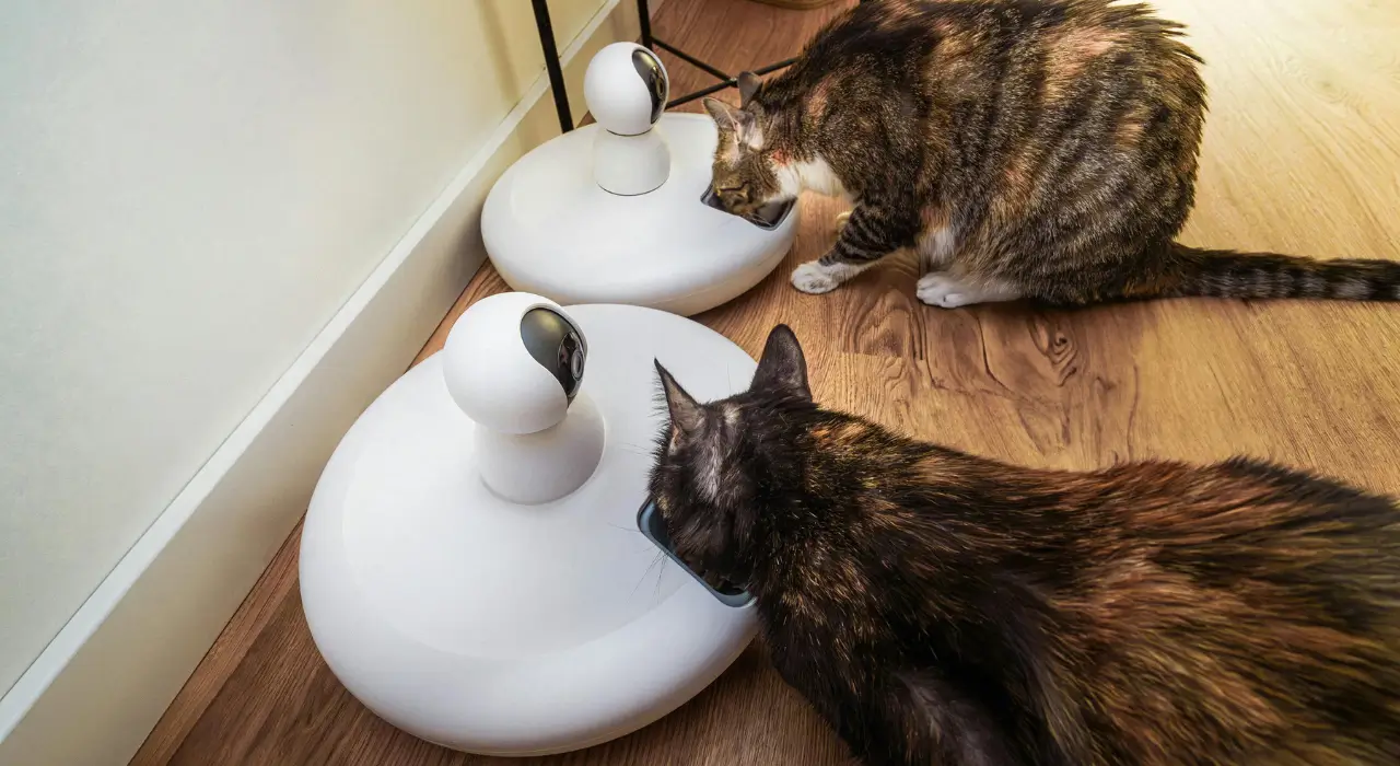 dispositivo de monitoramento