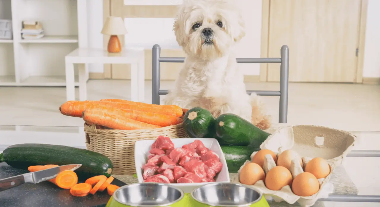 alimentação natural para cães