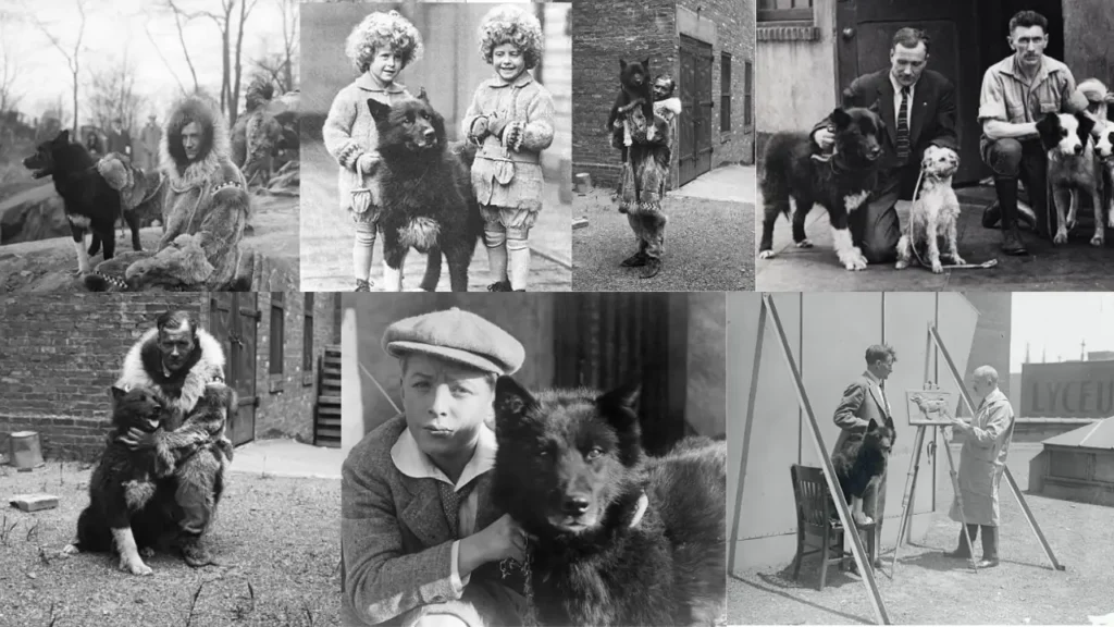 animais que mudaram a historia