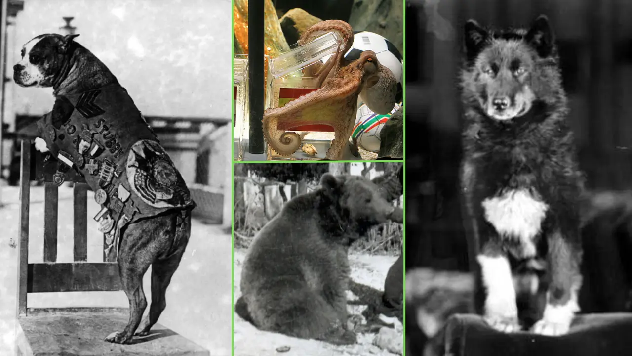 animais que mudaram a historia