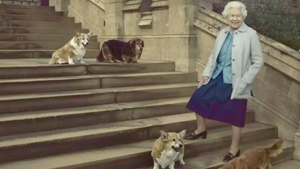animais de reis e rainhas