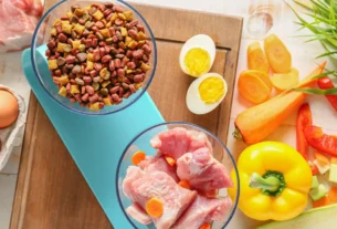 Alimentação natural para gatos