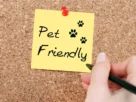 pet friendly