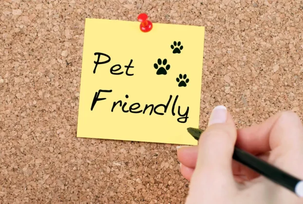 pet friendly