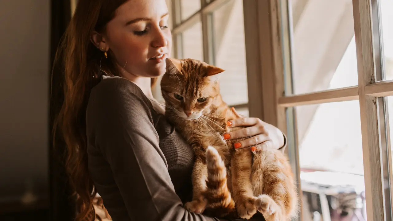 doença renal crônica